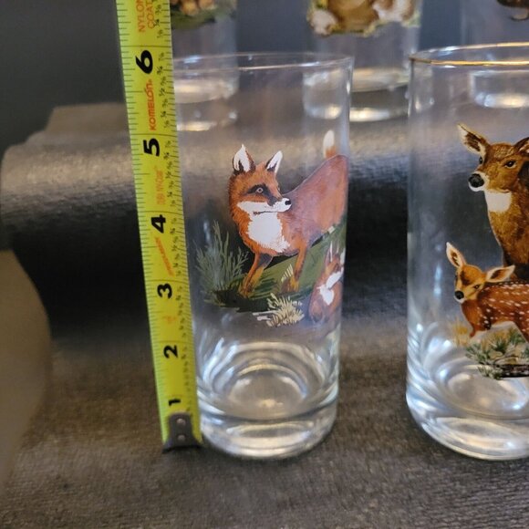 West Virgina Glass West Virginia Wildlife Woodland Animals 11oz Glass Set Of 5 - Picture 8 of 9